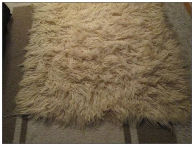 Sheepskin Rug Before