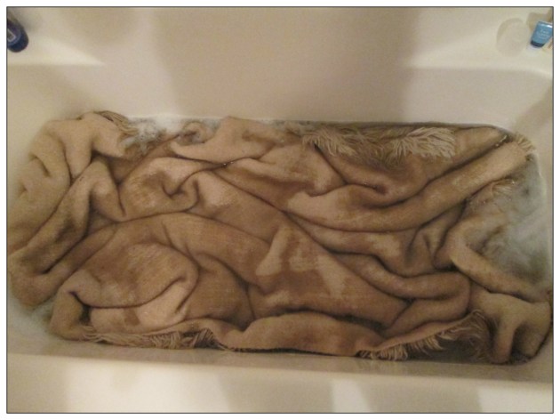 Wash the rug with baby shampoo