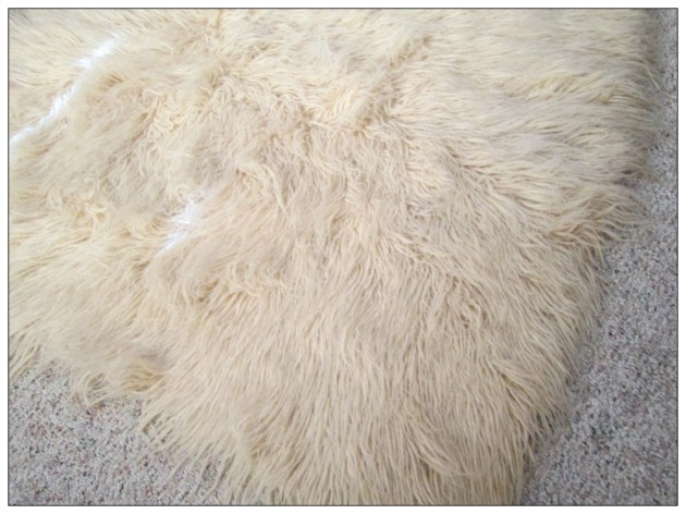 How to Clean a Sheepskin Rug- After