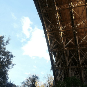 Pgh Bridges in Autumn