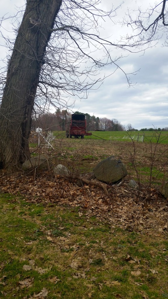 Hampton Falls, New Hampshire #100daysofmiaprima