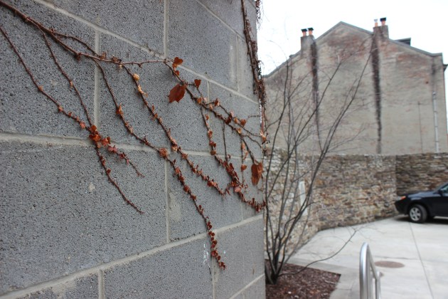 Mattress Factory Pittsburgh, PA #100DaysofMiaPrima