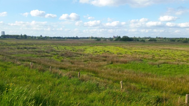 Den Bosch, The Netherlands #100daysofmiaprima