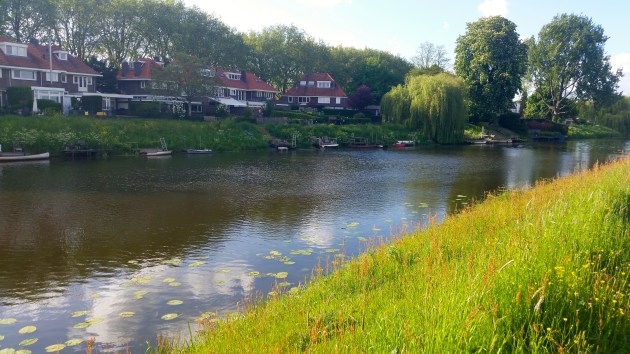 Den Bosch, The Netherlands #100daysofmiaprima