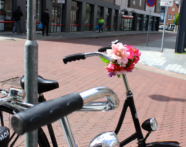 's-Hertogenbosch Den Bosch, The Netherlands #100daysofMiaPrima