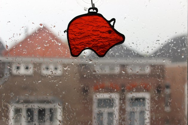 's-Hertogenbosch Den Bosch, The Netherlands #100daysofMiaPrima