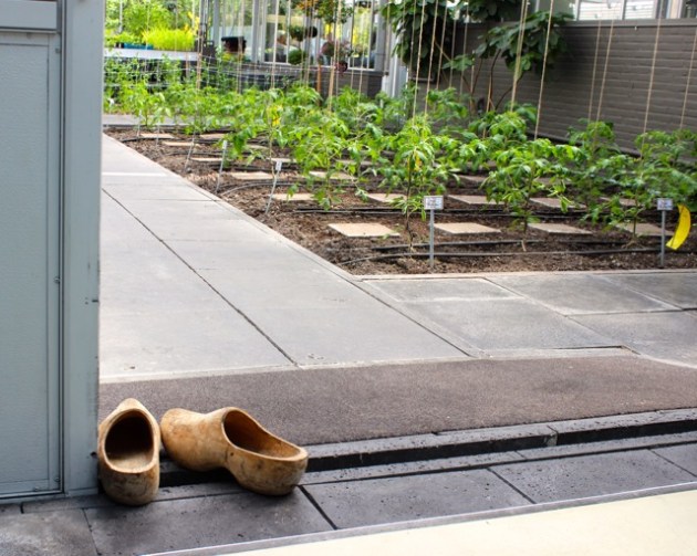 Restaurant De Kas Amsterdam #100DaysofMiaPrima 1