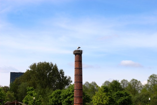 Restaurant De Kas Amsterdam #100DaysofMiaPrima 11