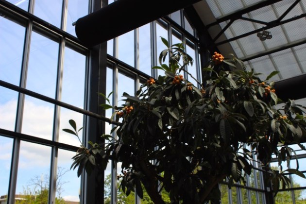 Restaurant De Kas Amsterdam #100DaysofMiaPrima 7